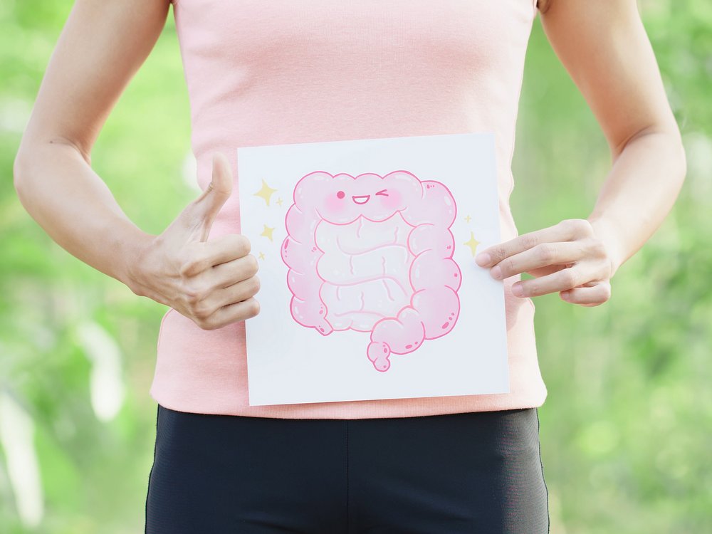 Help Maintain A Healthy Body Composition with Probiotics
